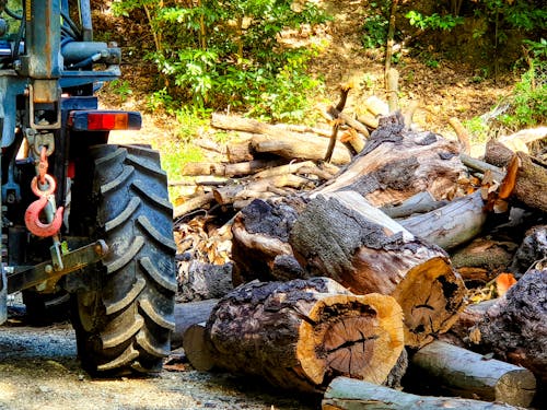Free stock photo of chopped wood, farm life, firewood