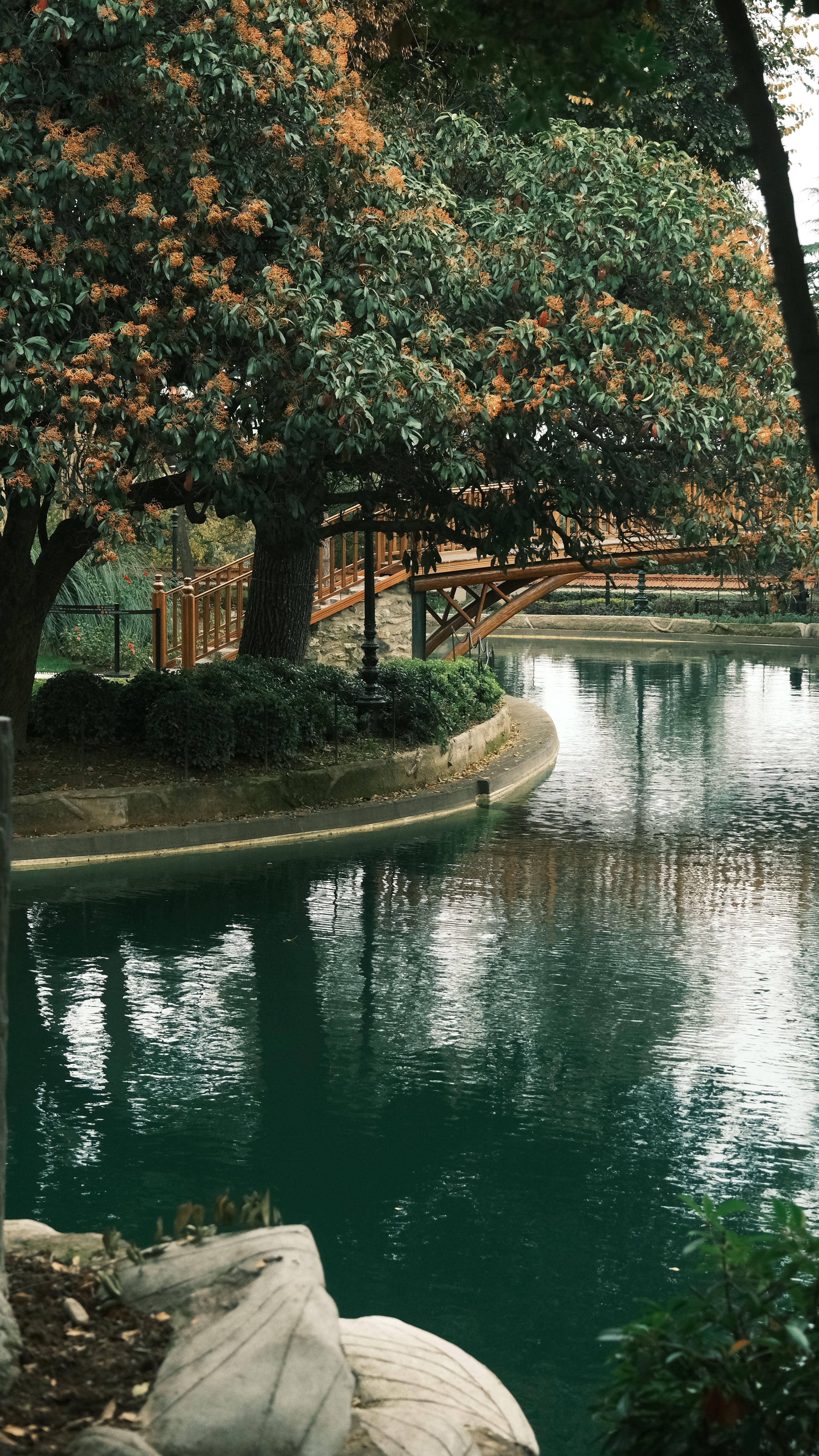Serene Park Scene with Wooden Bridge and Reflective Pond · Free Stock Photo
