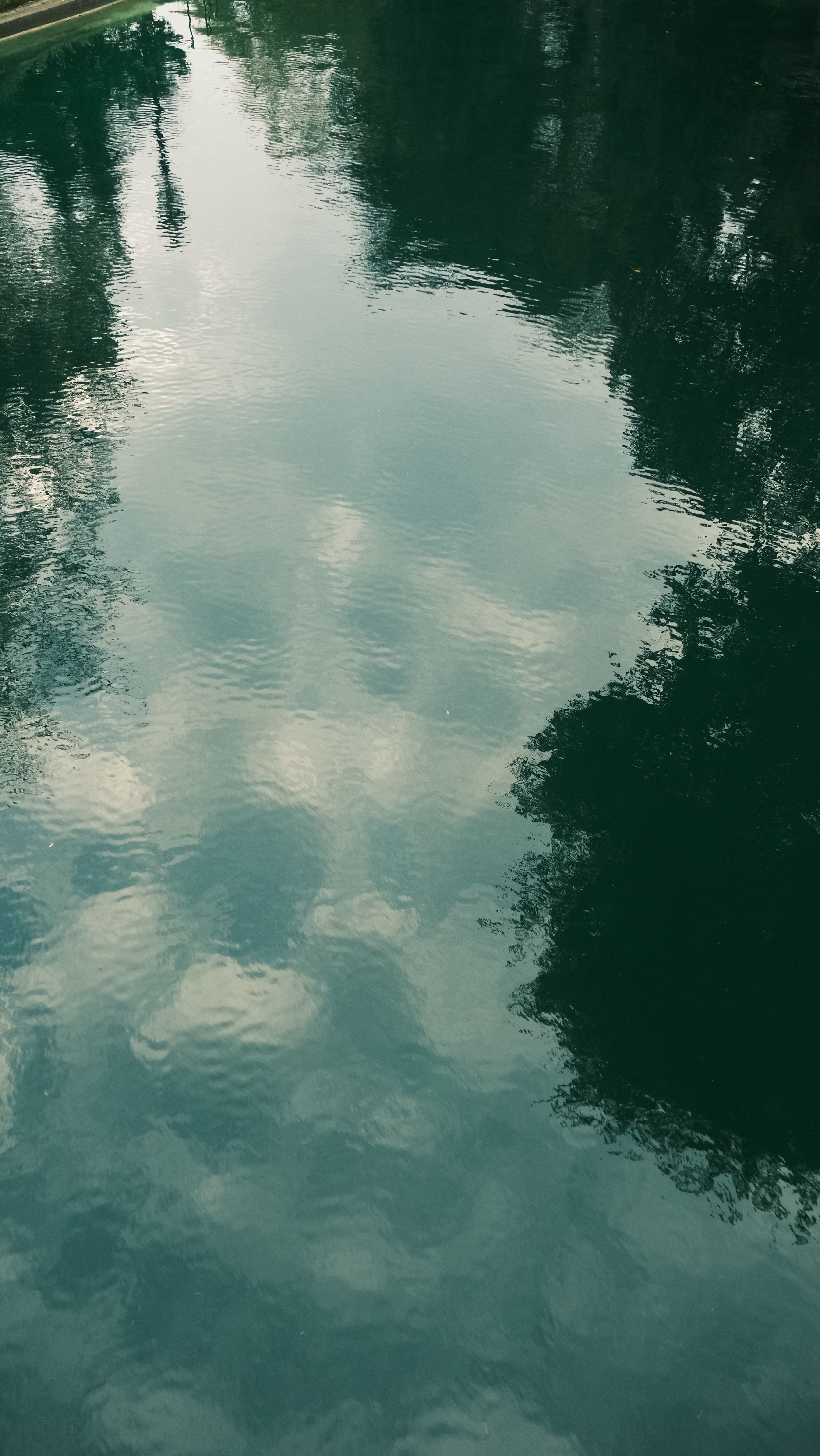 Serene Reflection of Trees and Sky on Water · Free Stock Photo