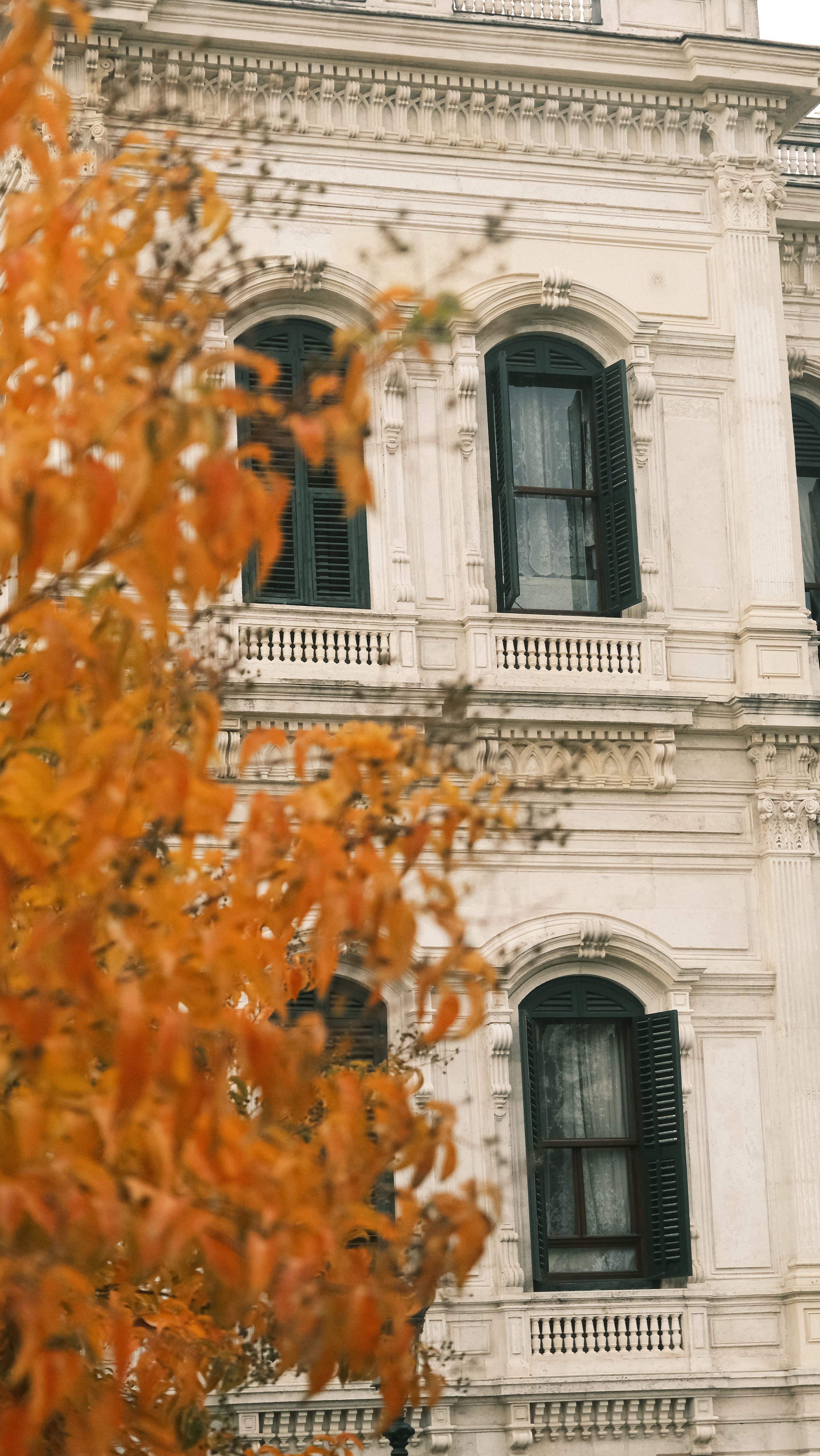 Classic Architecture with Autumn Leaves · Free Stock Photo