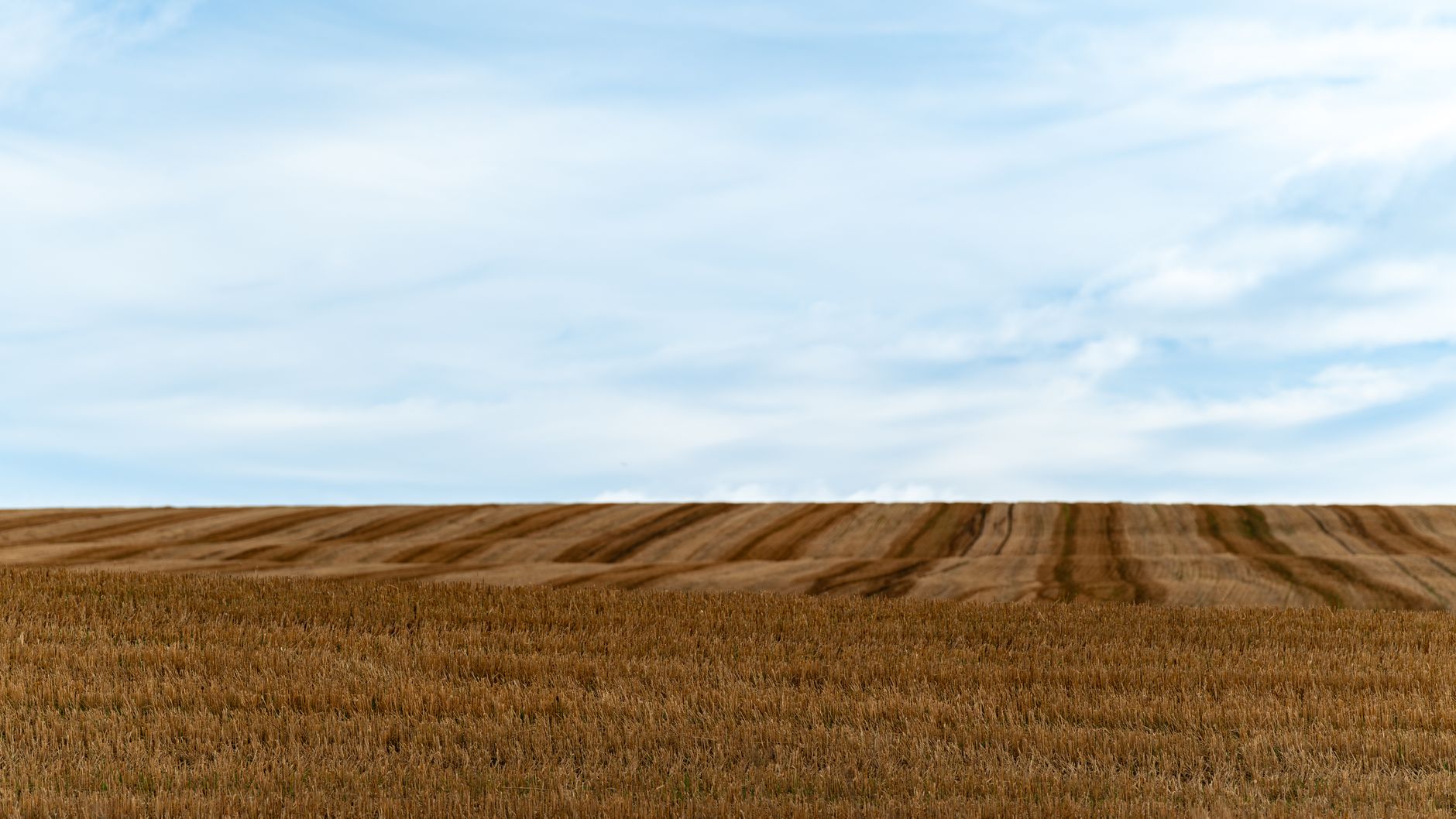 Field — Field
