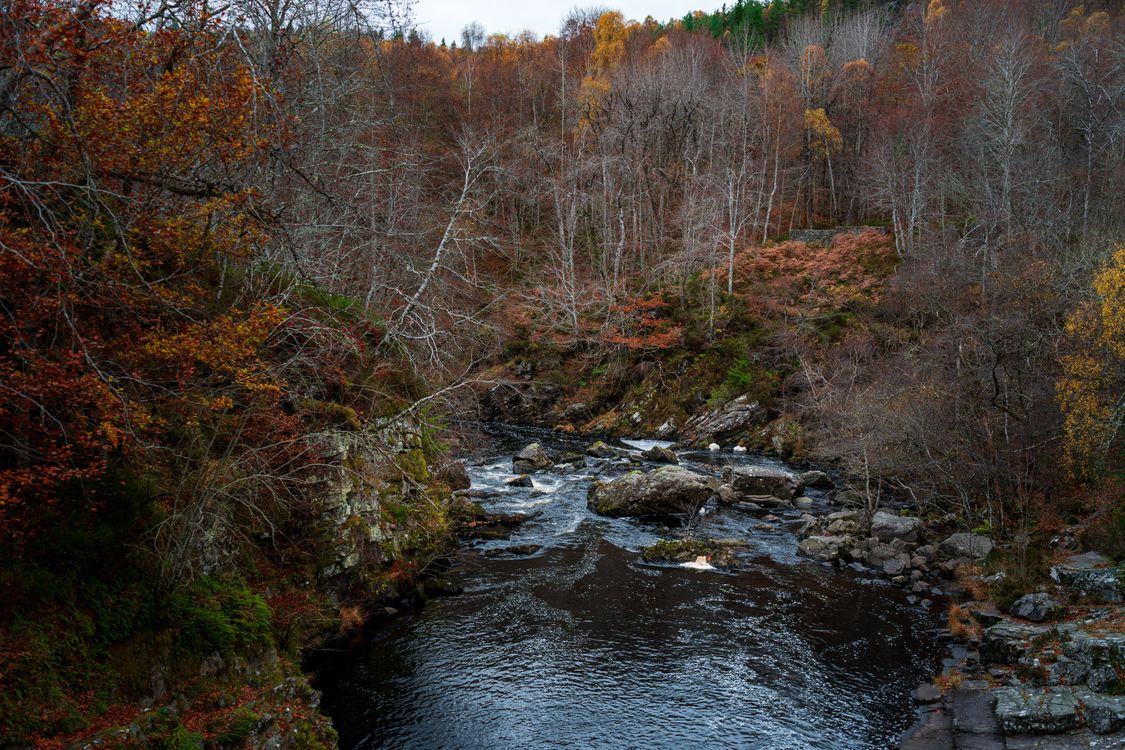 Autumn River Flowing Through Rocky Forest · Free Stock Photo