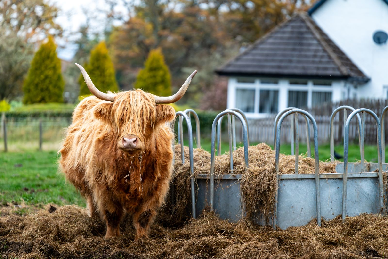 Highland farmhouse with countryside surroundings — typical solar installation property