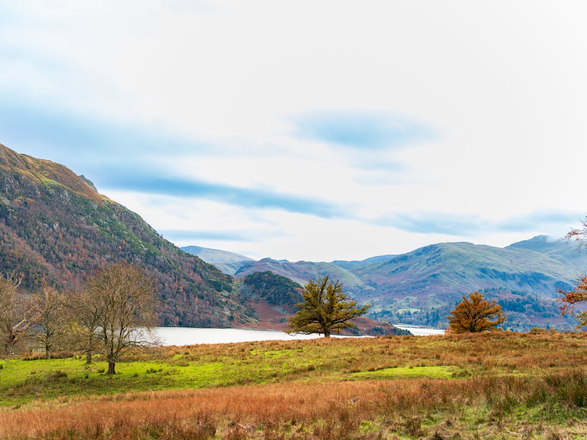 4 Day Nervous System Reset Coaching & Yoga w/Therapist, UK 1