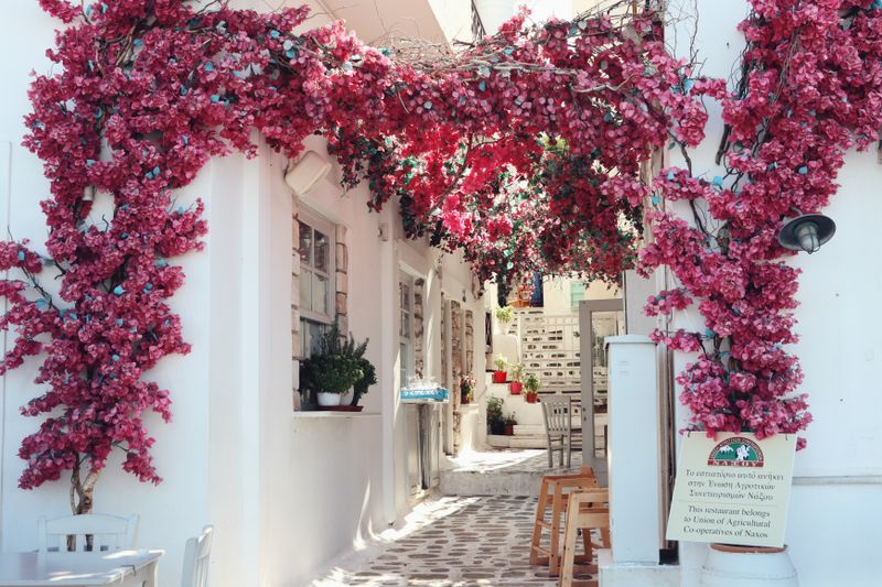 Bougainvillier en fleurs dans une ruelle étroite bordée de maisons traditionnelles, Naxos