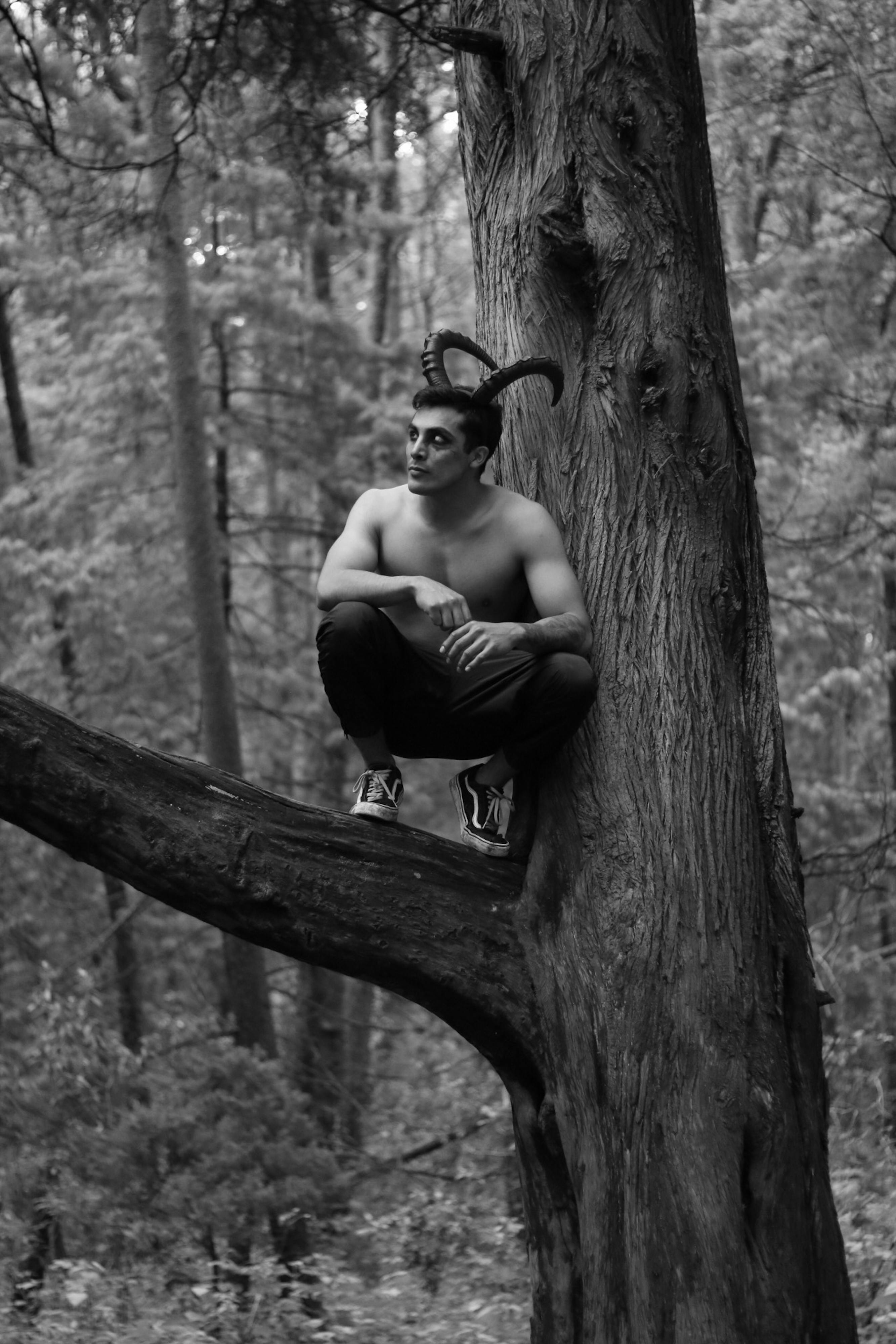 grátis Retrato artístico em preto e branco de um homem com chifres sentado em uma floresta. Foto profissional