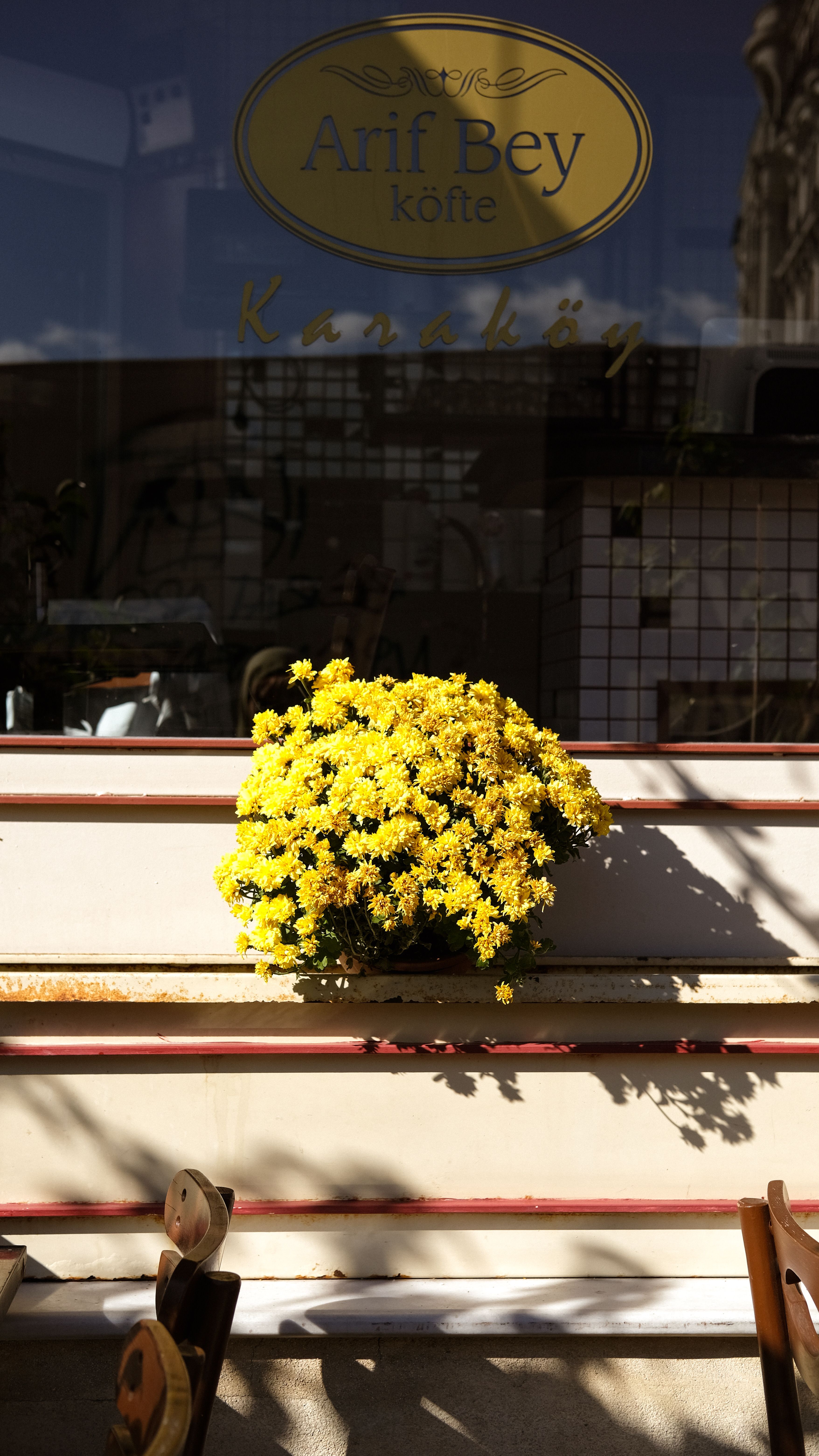 A vibrant display of yellow flowers in a cafe window with reflections, creating a warm ambiance.