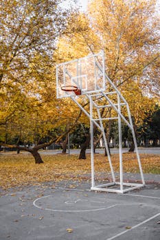 Basketball hoop outdoors with vibrant autumn foliage.