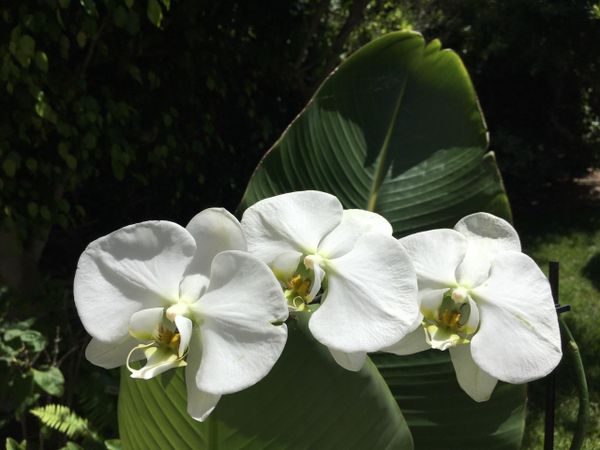 Malaysia