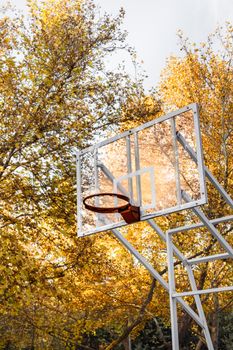 A basketball hoop outdoors with golden autumn leaves, ideal for sports themes.
