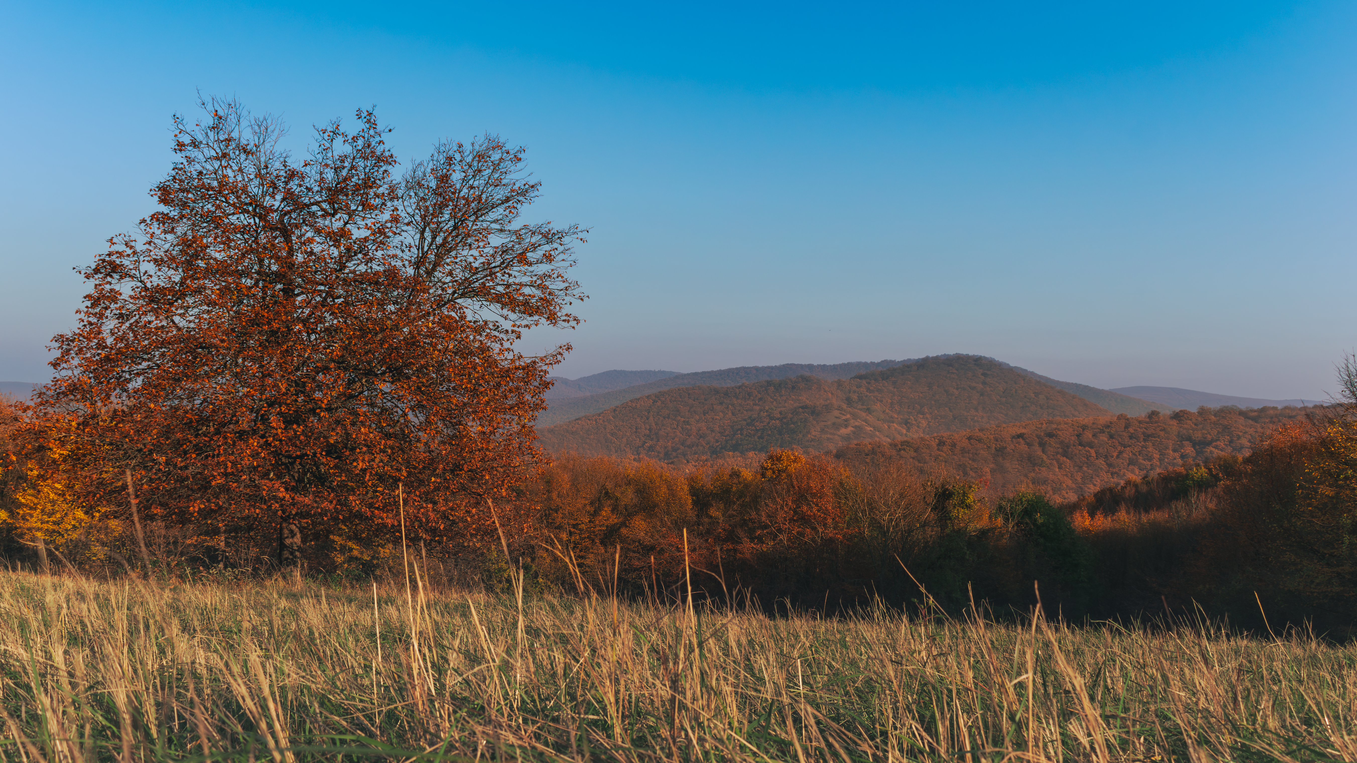 Autumn Landscape in Dömös, Hungary · Free Stock Photo