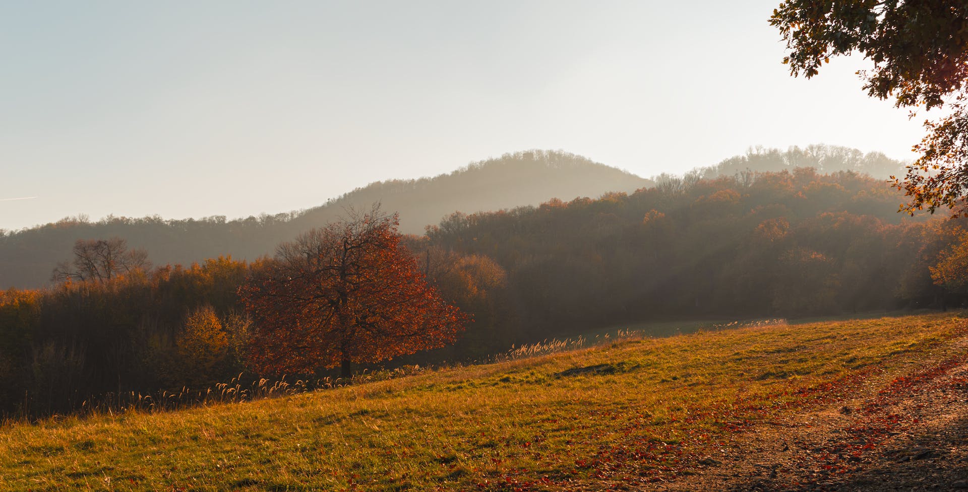 Beautiful autumn scene with rolling hills and colorful trees in Dömös, Hungary.