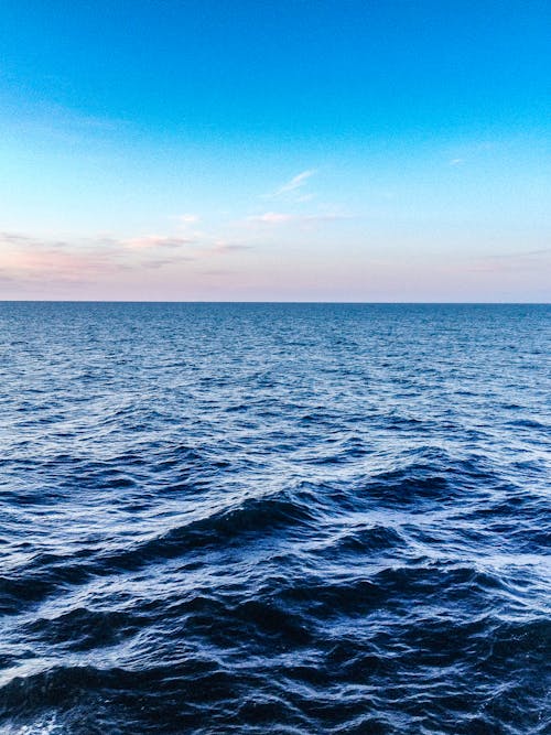 600.000+ Ảnh Đẹp Nhất Về Đại Dương Xanh · Tải Xuống Miễn Phí 100% · Ảnh Có  Sẵn Của Pexels