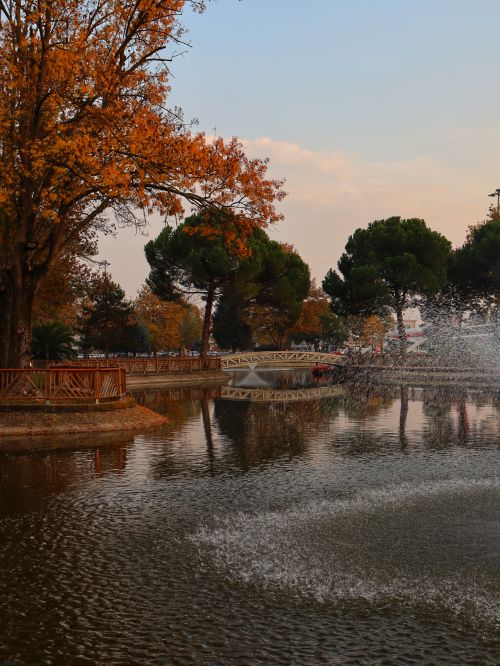 Free Idyllic park scene in fall with vibrant leaves, calm water, and a charming bridge. Stock Photo
