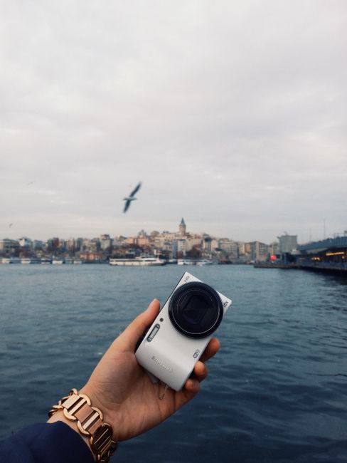 A hand holds a camera in front of a scenic city waterfront, capturing the skyline and a flying bird.