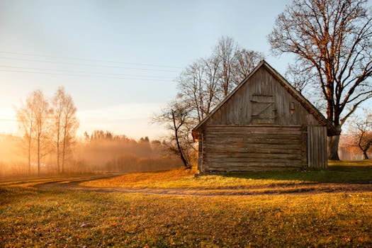 Peaceful rural sunrise in Straupe, Latvia with autumn foliage and a rustic barn.