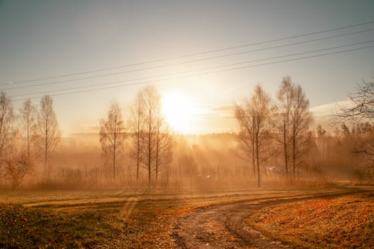 Beautiful foggy autumn sunrise in Straupe, Latvia showcasing warm tones and serene rural landscape.