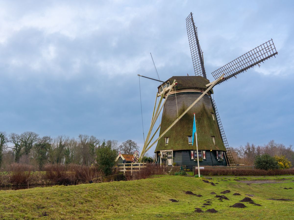 14 Day Ayurvedic Panchakarma Wellness Retreat in the Netherlands 2