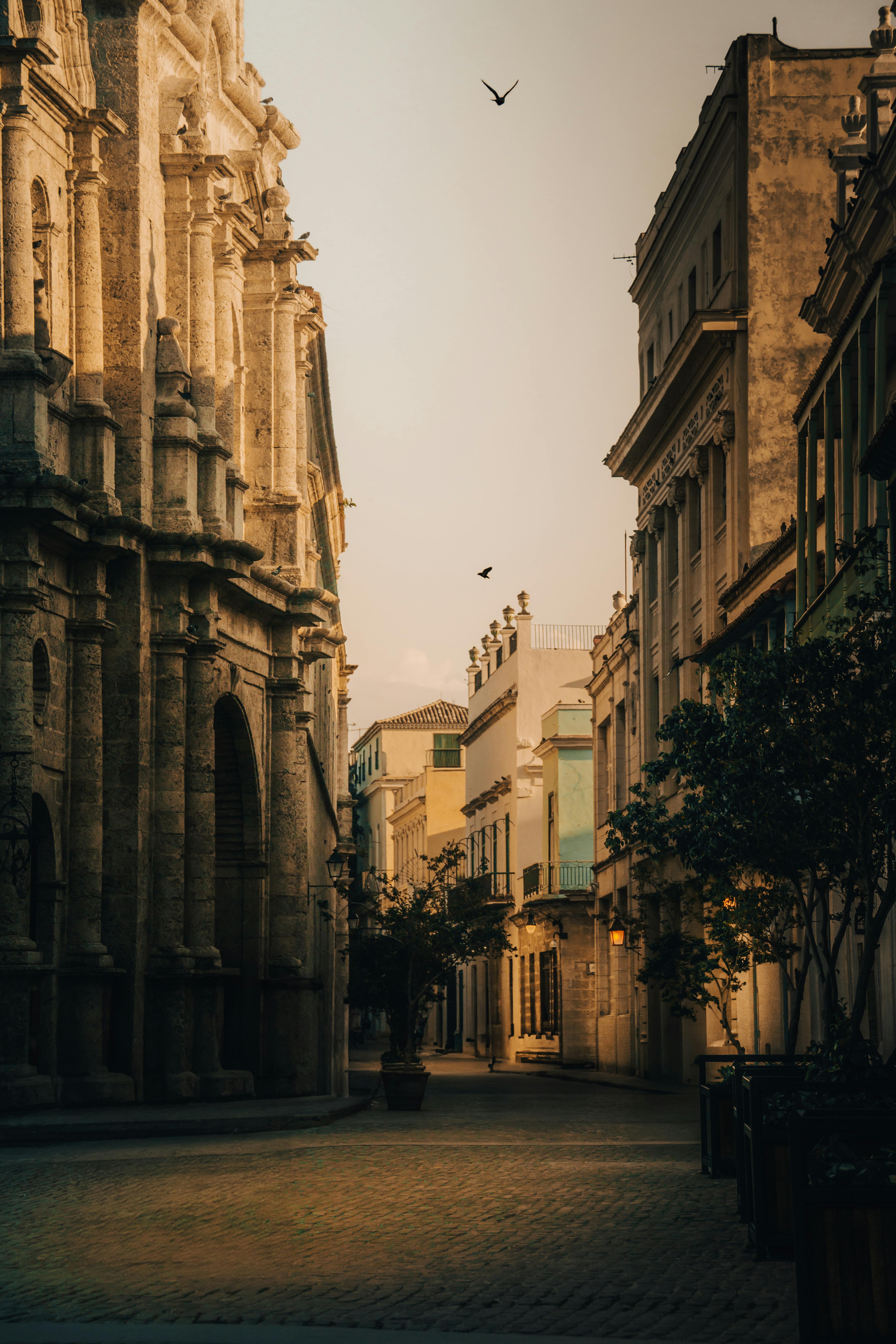 Beautiful historic street with architectural details, captured during sunset, evoking a serene mood.