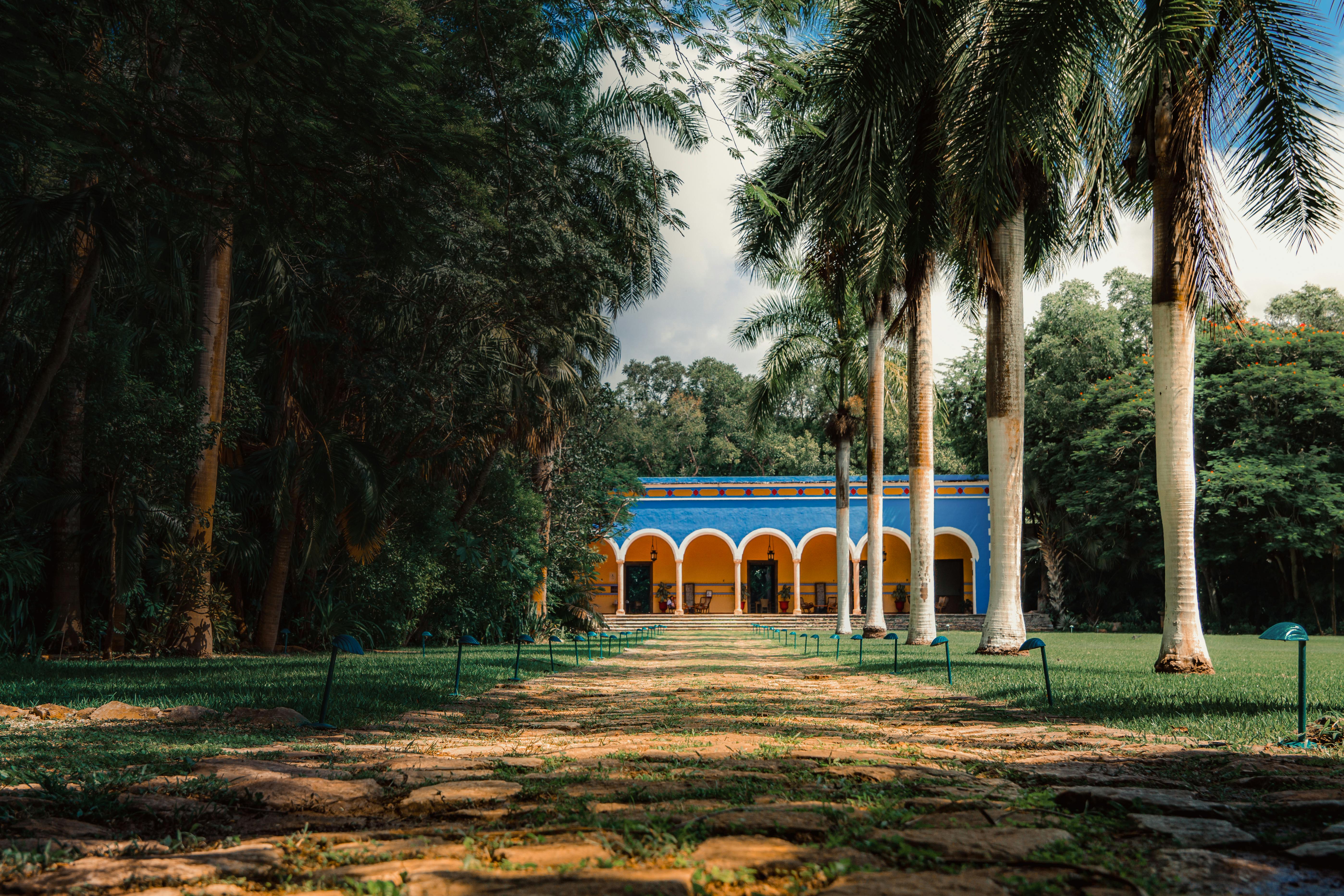 A vibrant colonial mansion framed by tall palm trees, ideal for tourism and architecture inspiration.