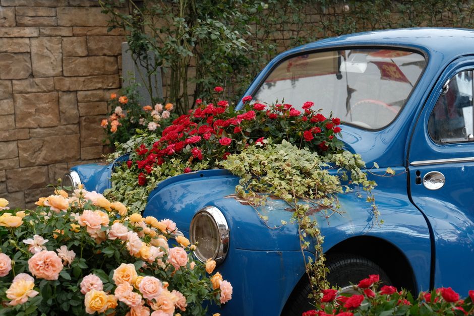 Overzicht van geplande beplanting voor persoonlijk bloemenbed. Overzicht van geplande beplanting voor persoonlijk bloemenbed.