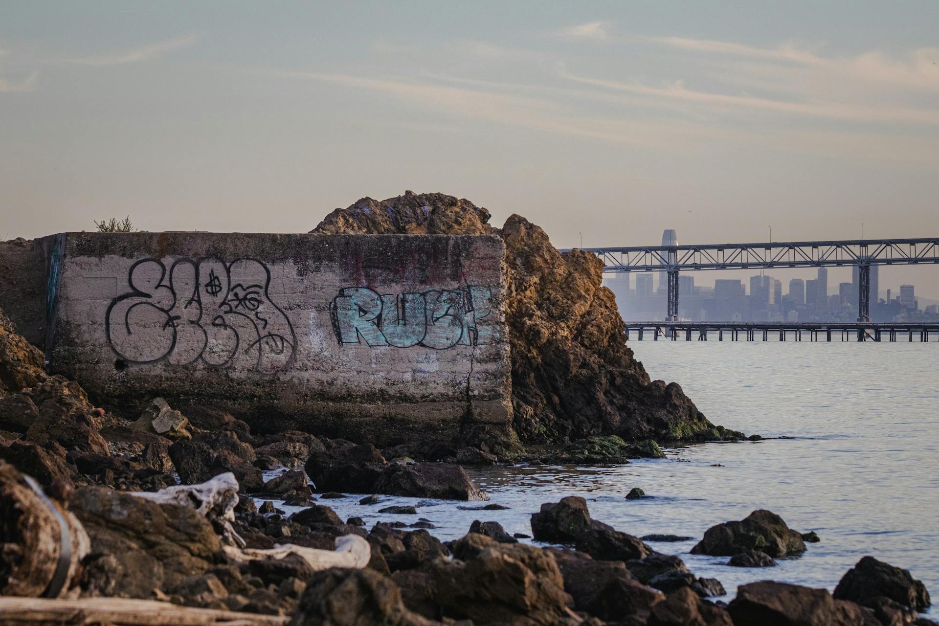 Concrete wall with graffiti by the waterfront and city skyline in the background.