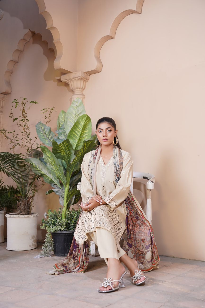 Stylish South Asian Traditional Dress Lahore