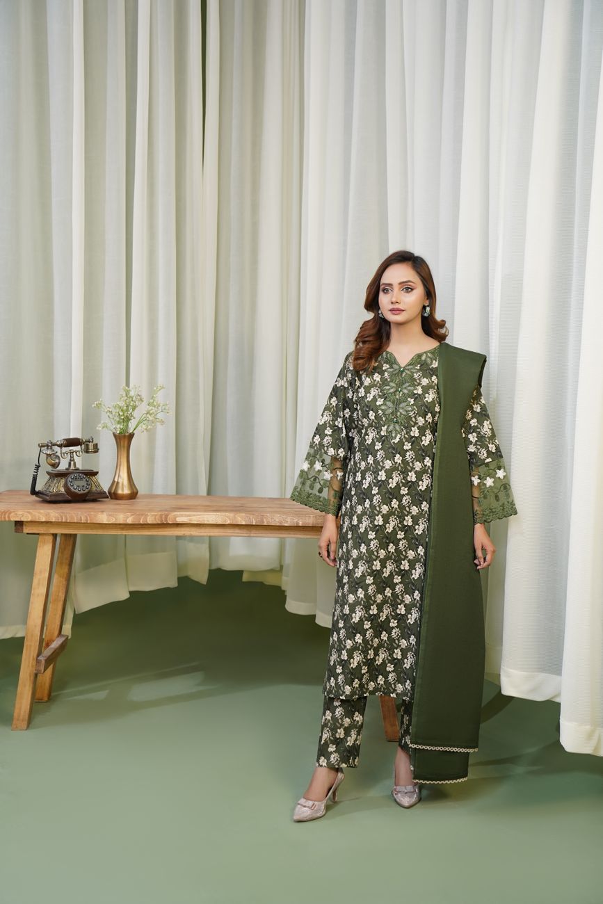 Stylish Traditional Pakistani Dress