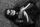 dead body