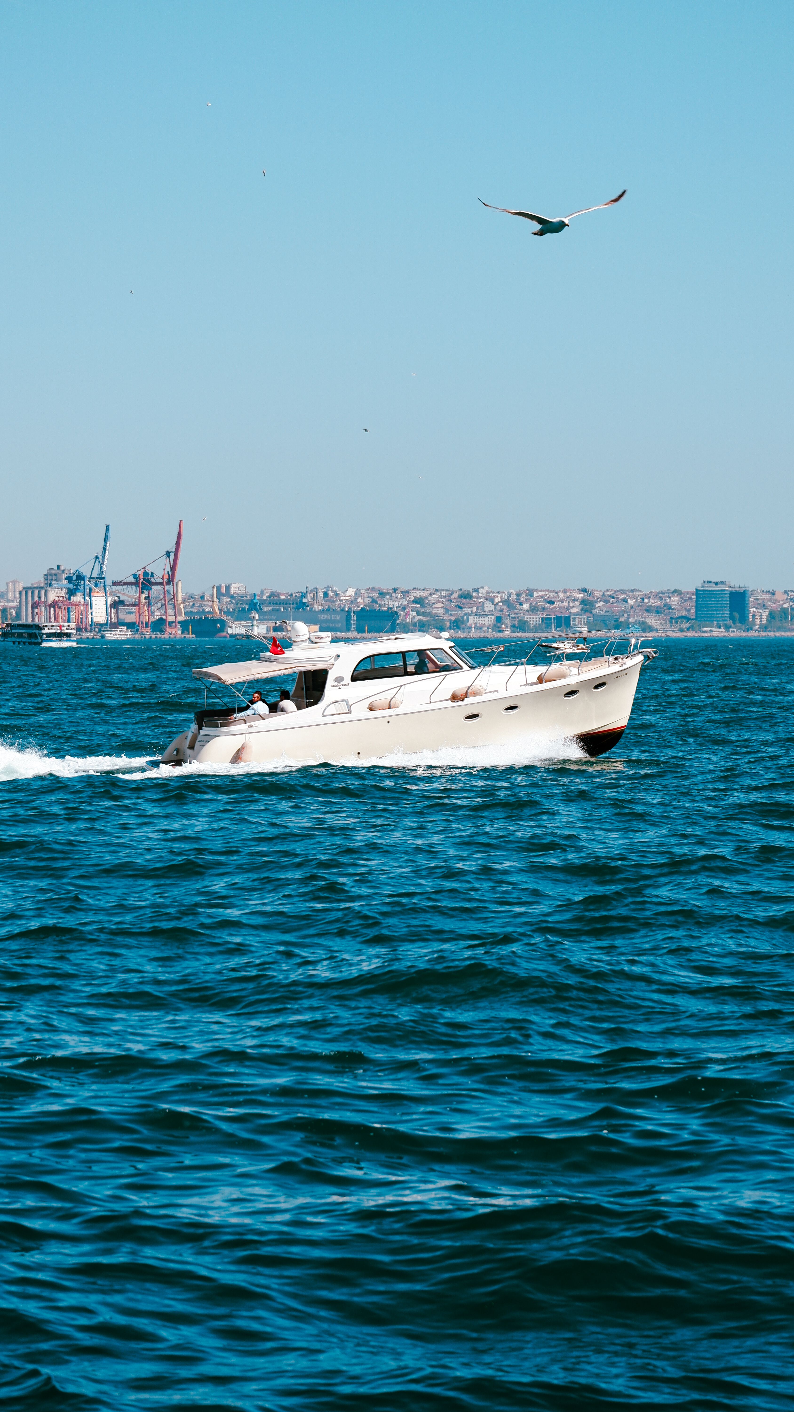Boat Cruising on Bosphorus with City Skyline · Free Stock Photo