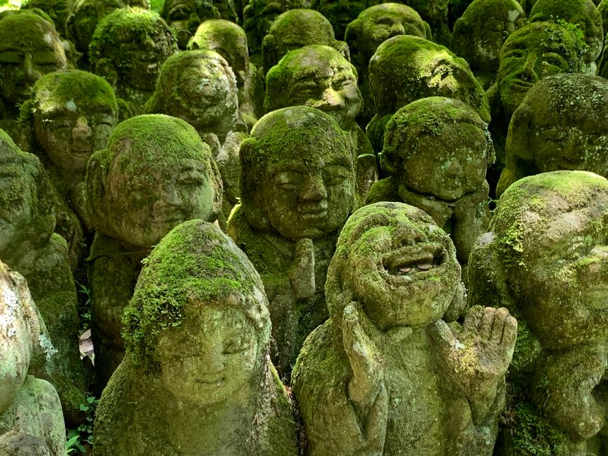 OPTION - Adashino Nenbutsu-ji + Saga-Toriimoto