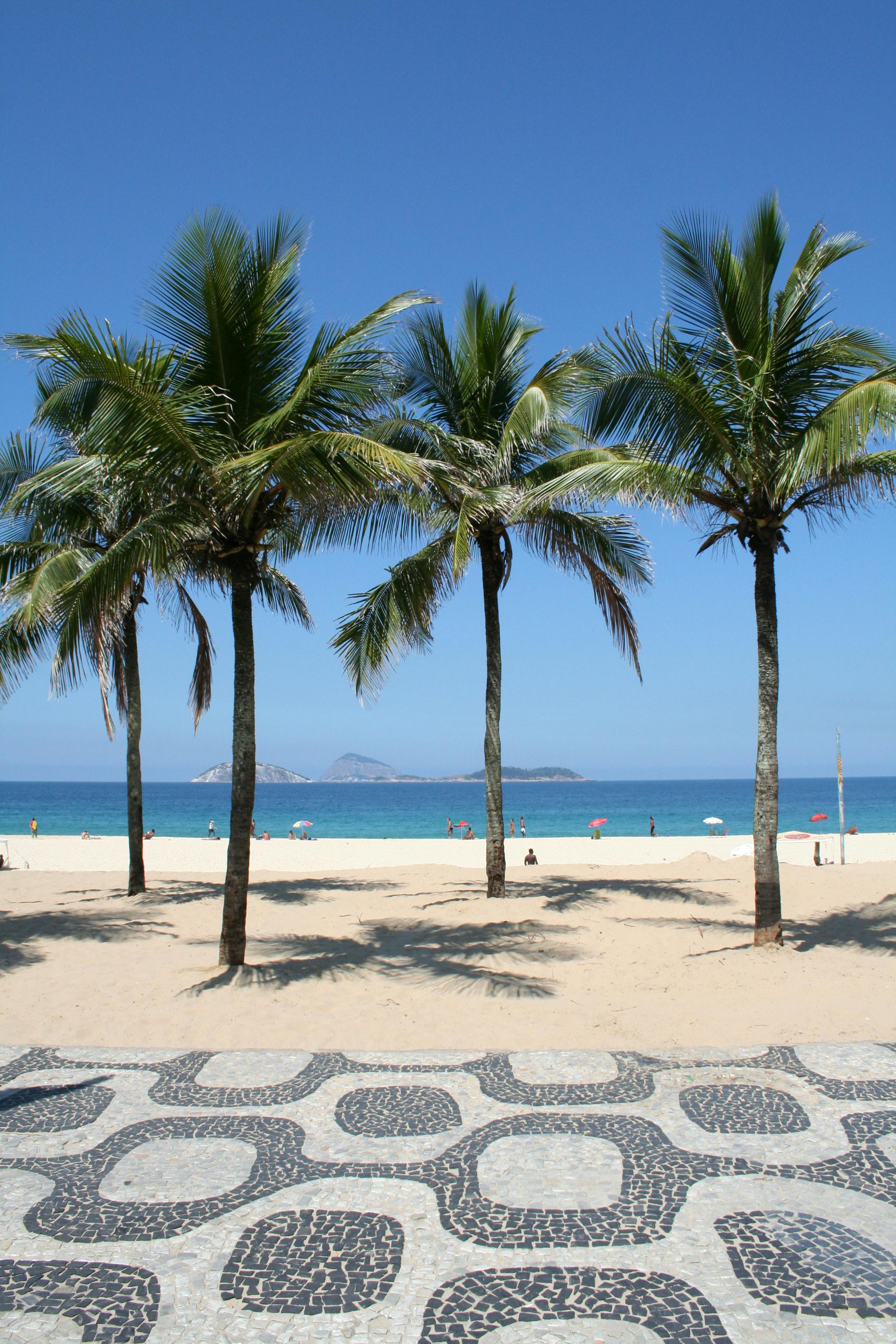 Palm trees along Copacabana Beach with the sea and Rio de Janeiro skyline in the background — Brazil Safe Travel