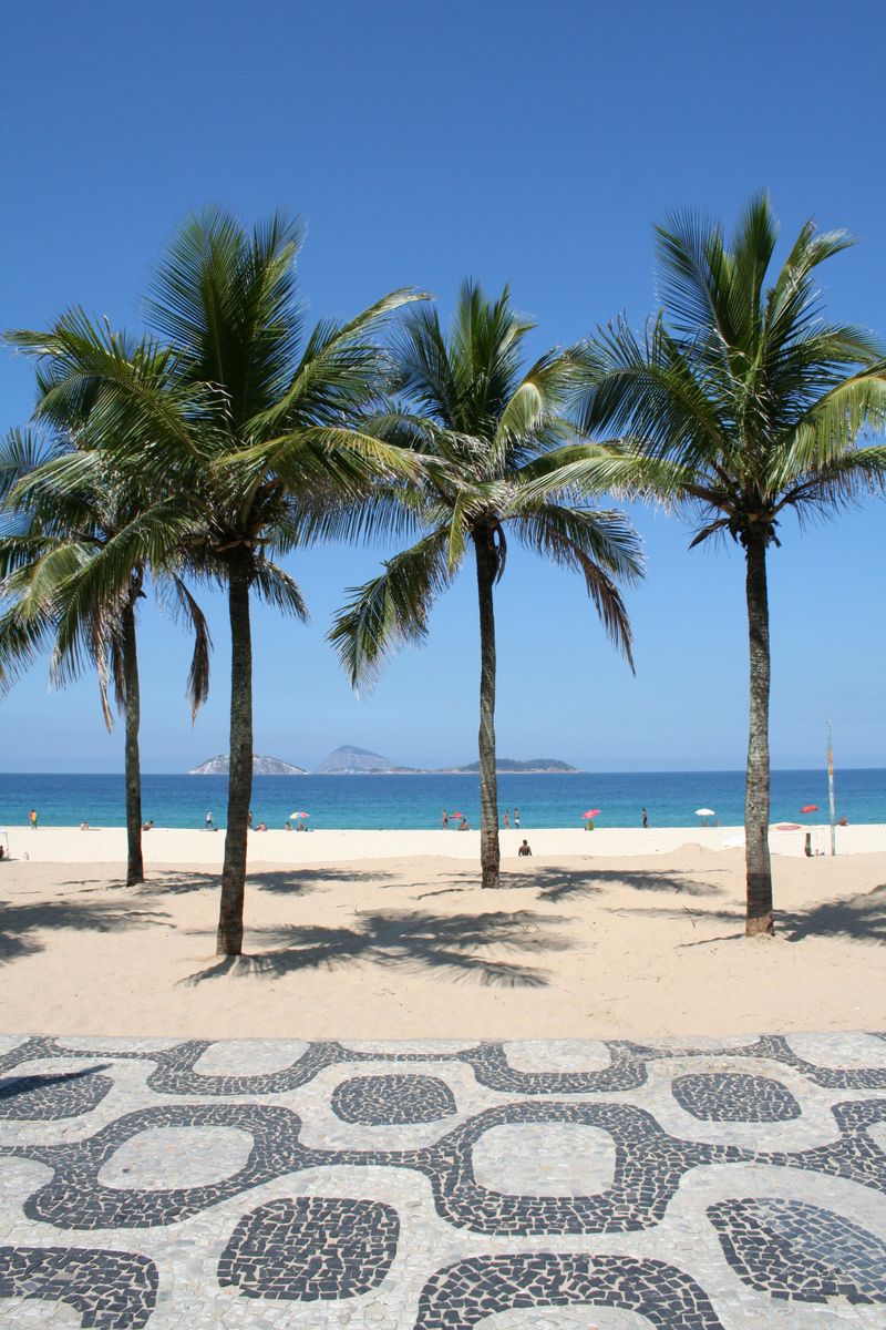 Palm trees along Copacabana Beach in Rio de Janeiro