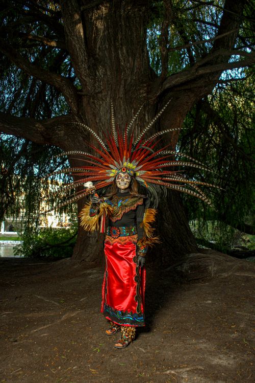 Free Person in vibrant Aztec attire with feathered headdress standing before a large tree outdoors. Stock Photo