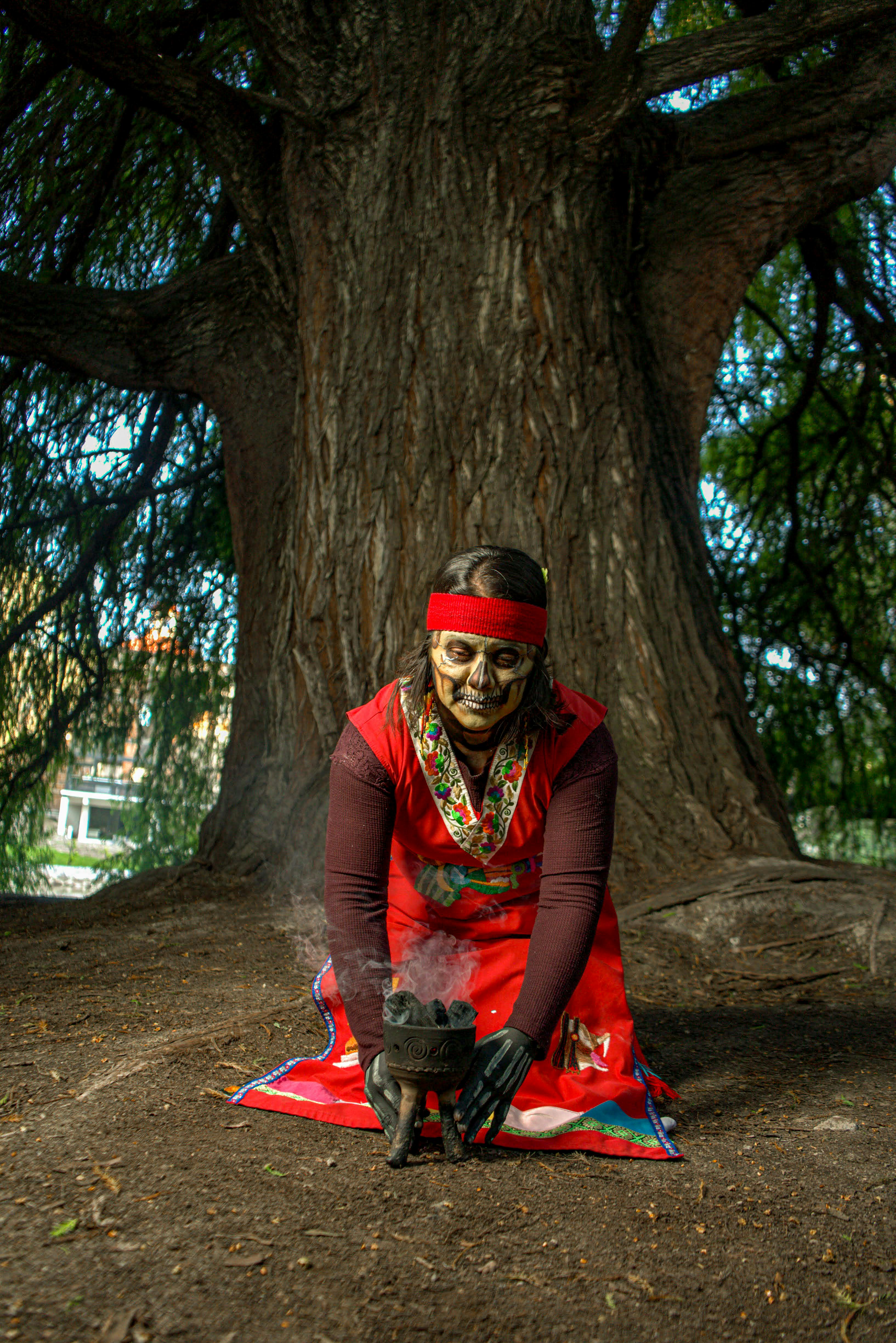 Ziua în care ne întoarcem la rădăcinile noastre ca niște copaci ciuntiți