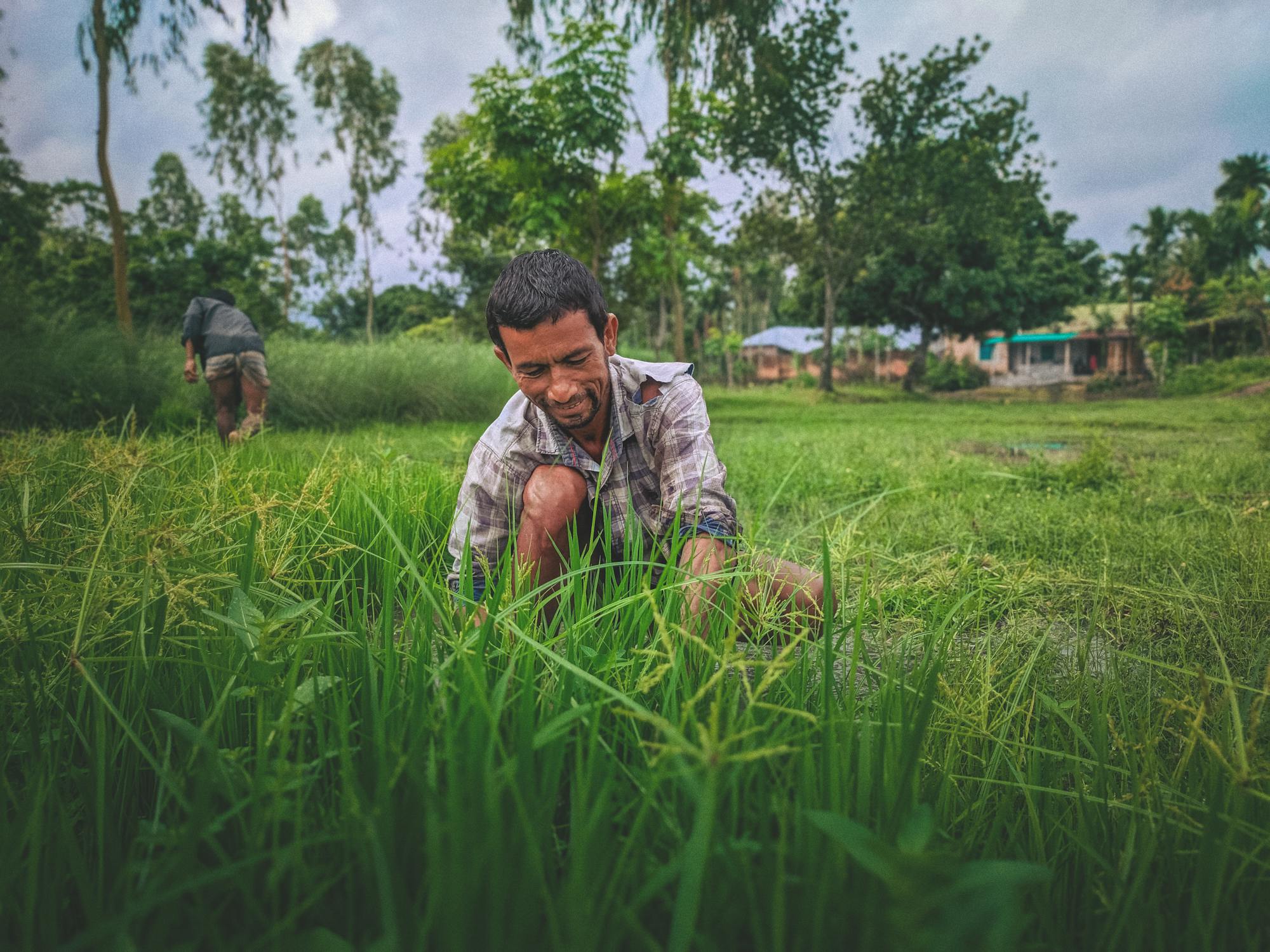 Smart Farming Technology