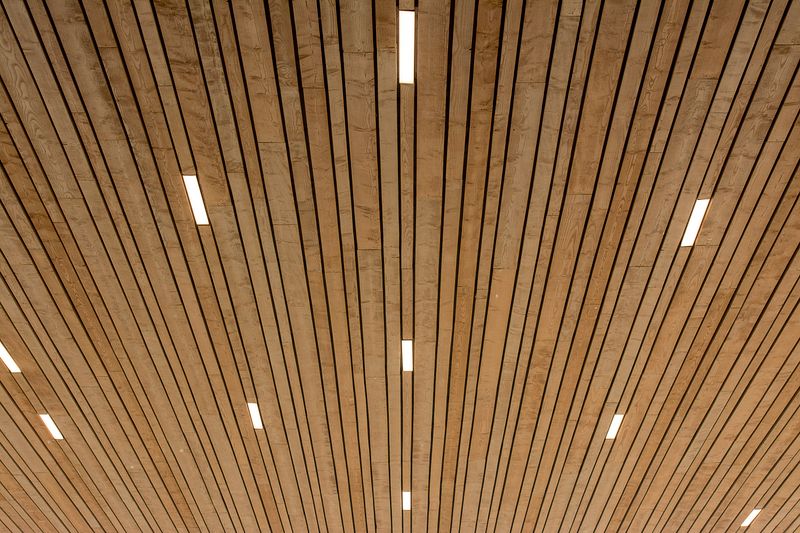 Beige Ceiling with a Wood-Paneled Media Wall