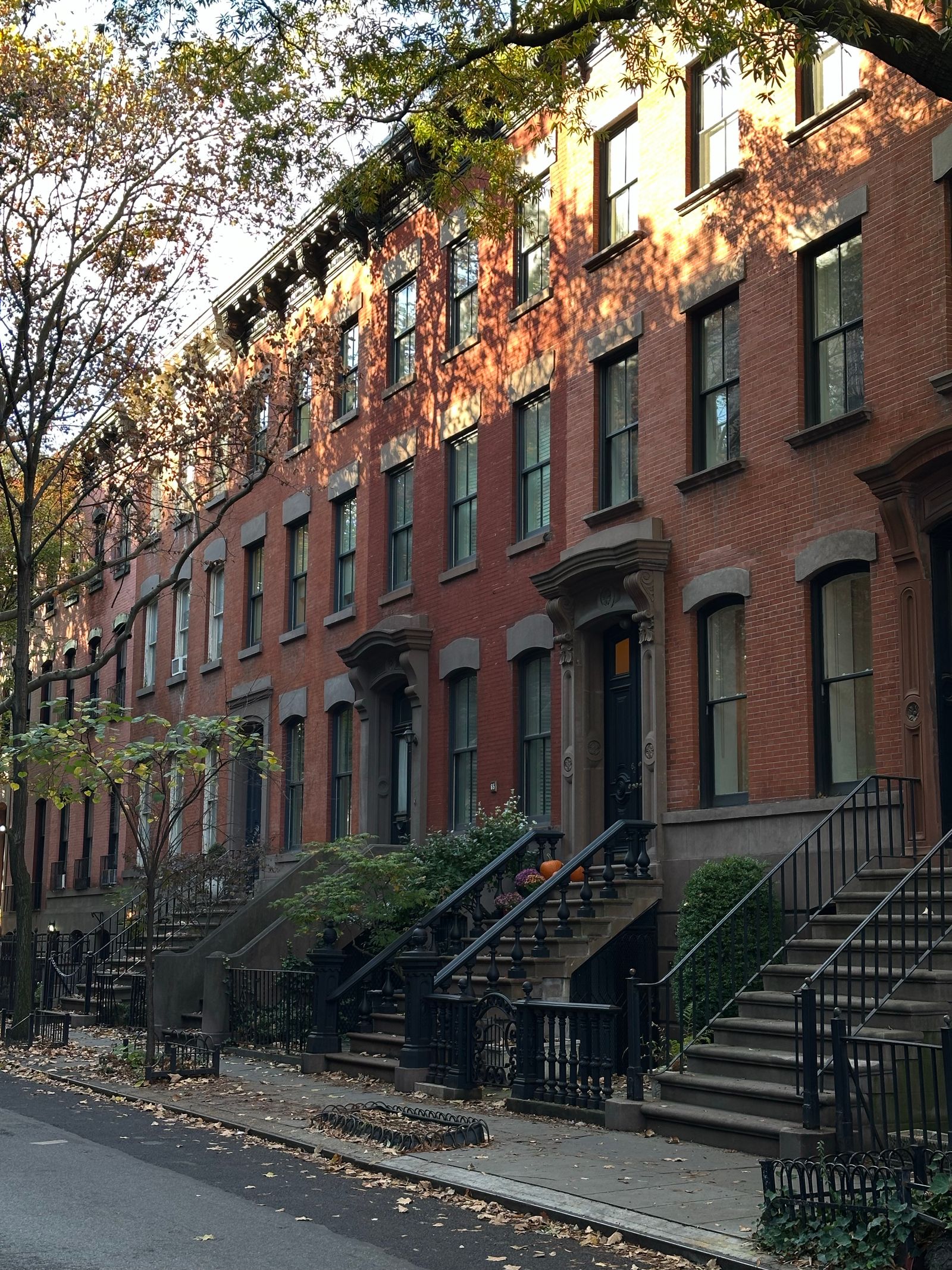 Row of classic New York City brownstones on a tree-lined street