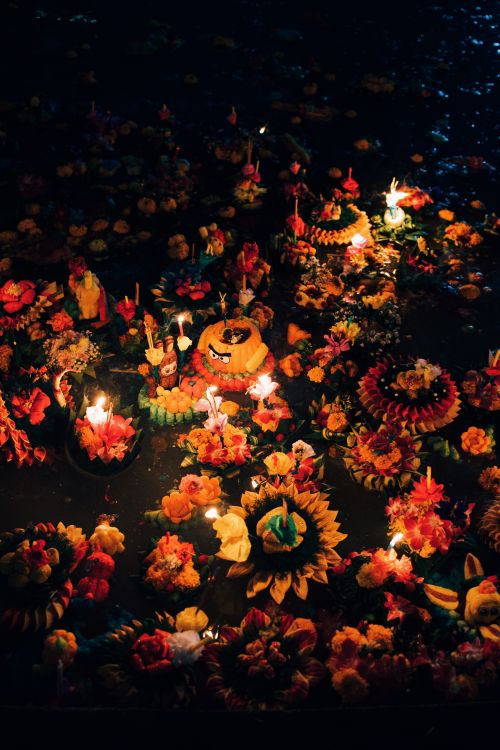 Free Vibrant floating flower arrangements and candles during Loy Krathong festival in Bangkok, Thailand. Stock Photo
