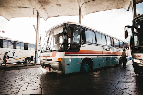 Безкоштовне стокове фото на тему «автобус, автомобільний, Громадський транспорт»