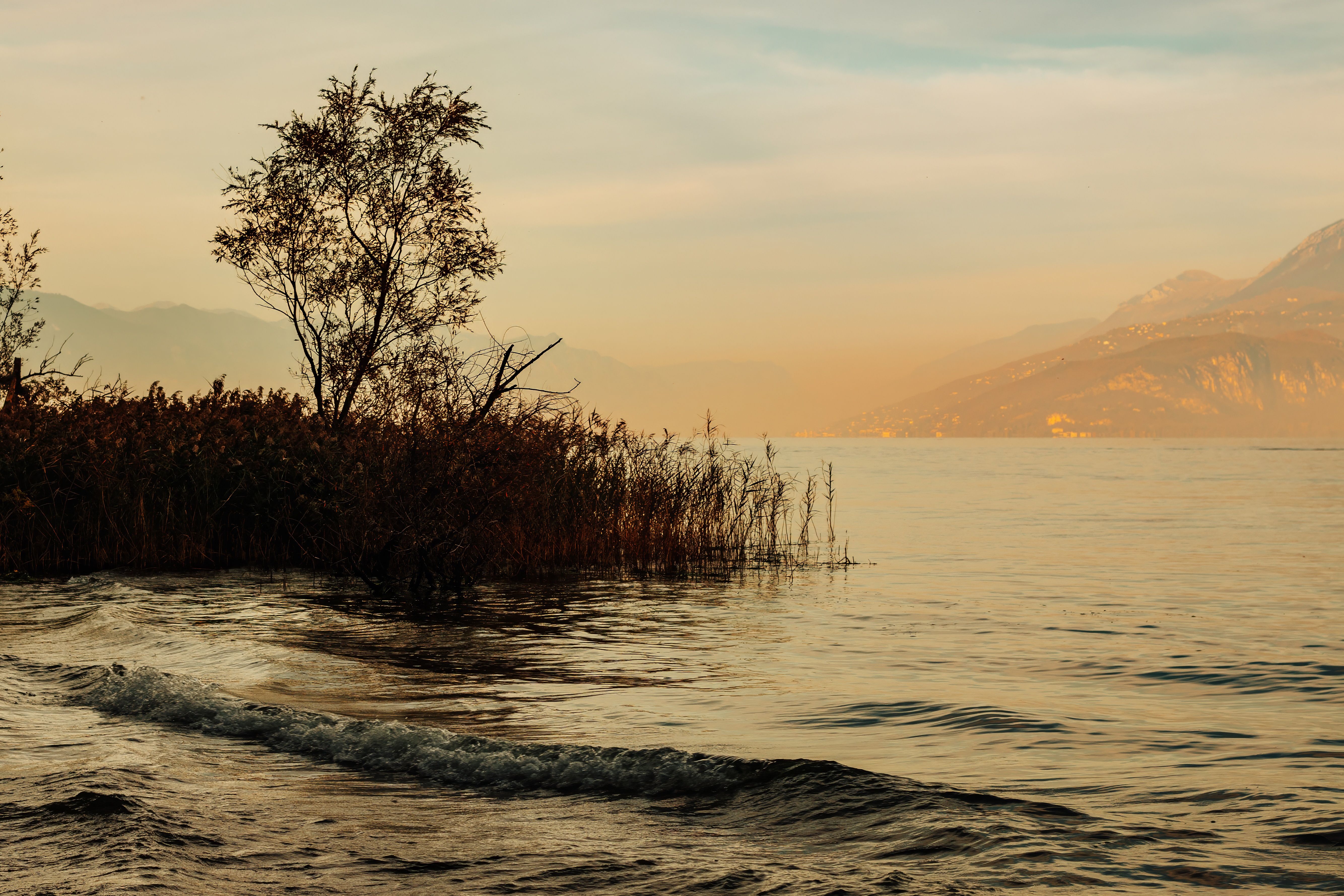 Serene Lake Shore at Twilight with Mountains · Free Stock Photo
