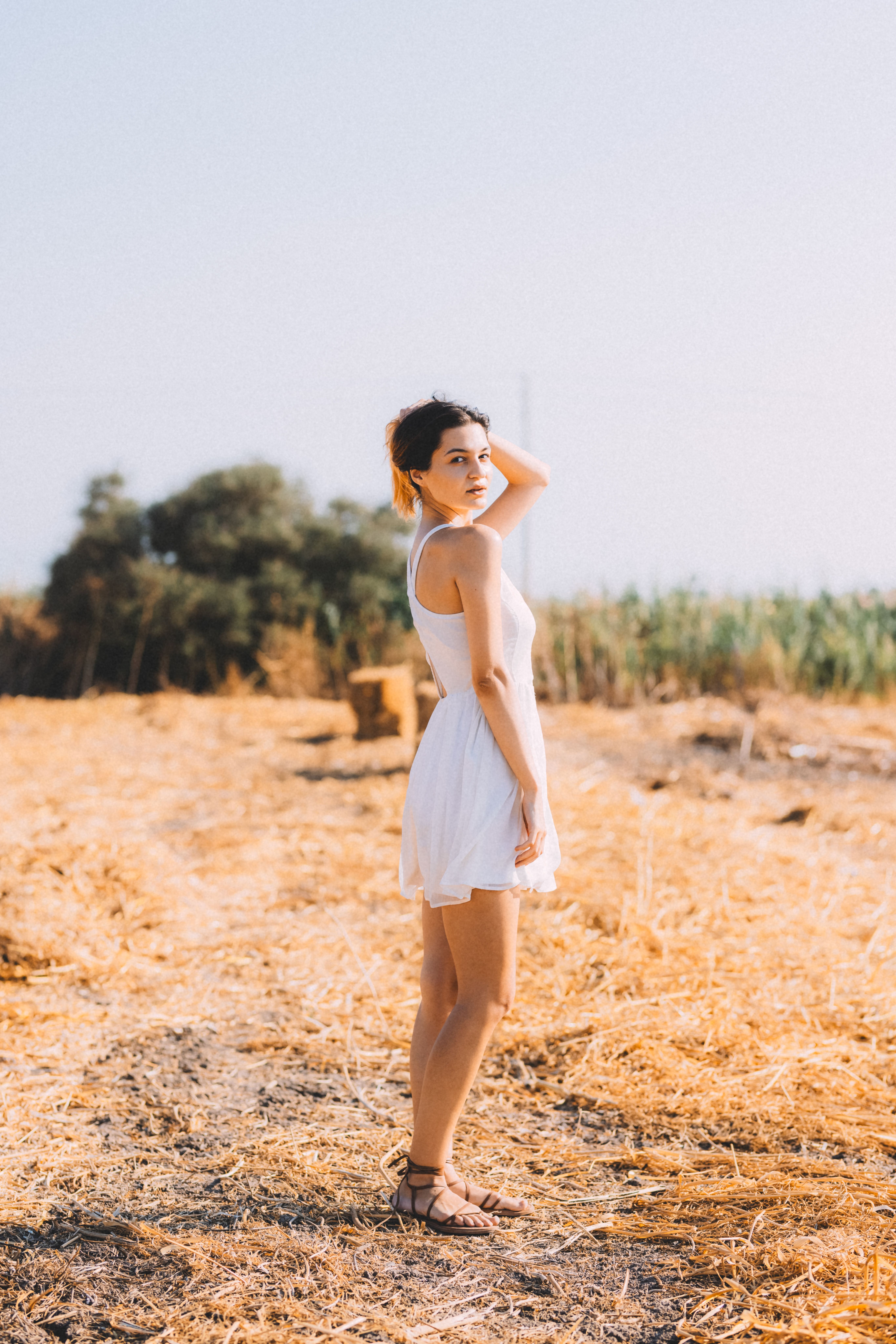 Young Woman in White Dress Standing in Sunlit Field · Free Stock Photo