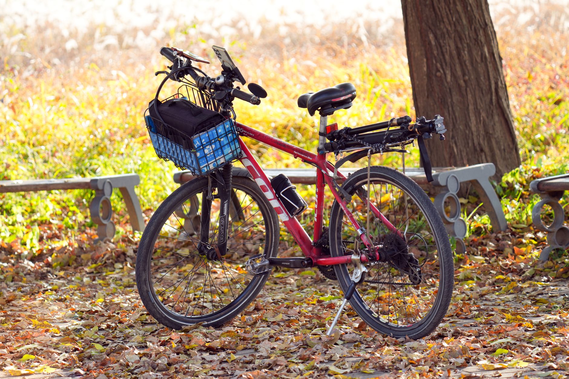 A vibrant red bicycle parked in a serene park with fallen autumn leaves.