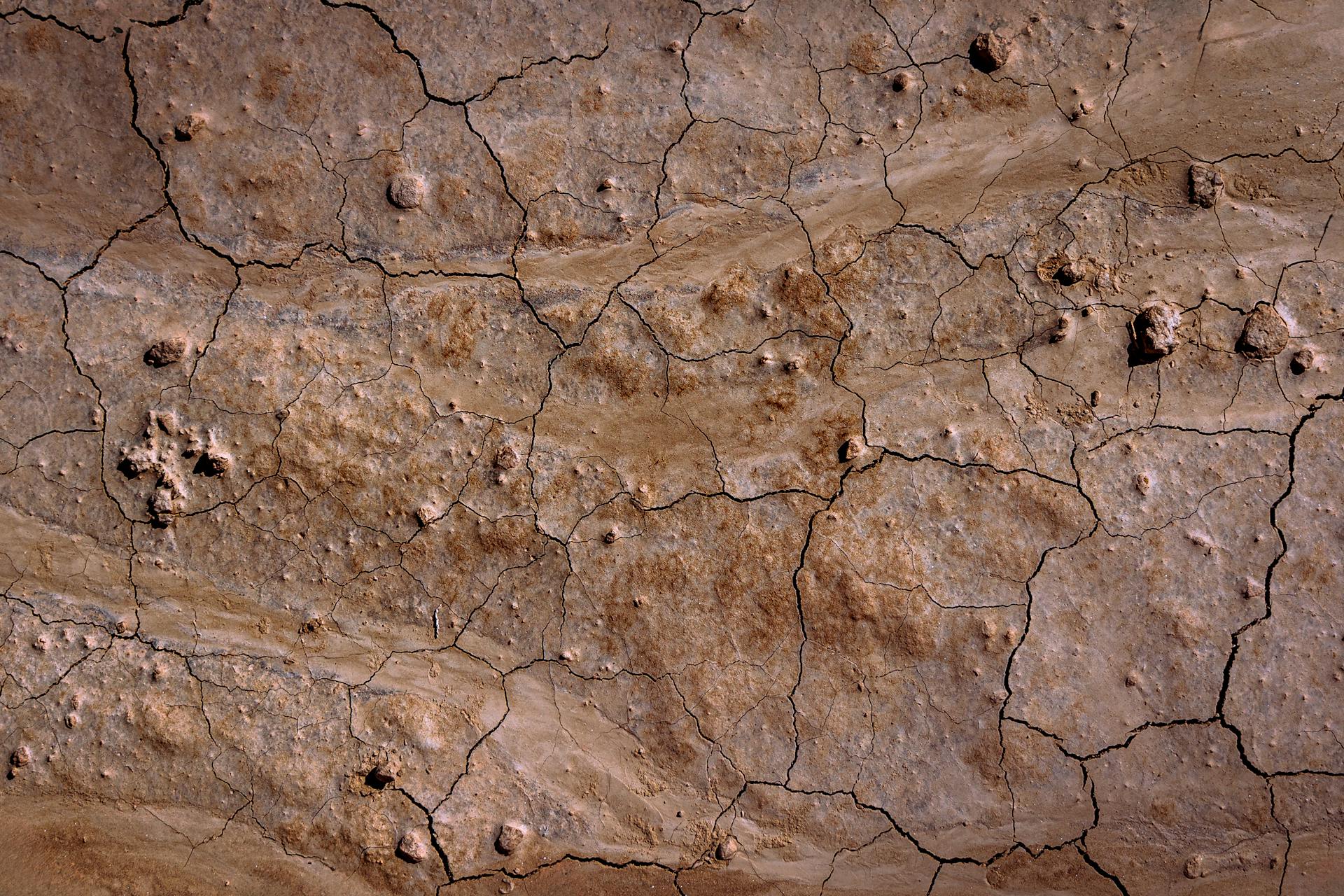 Detailed view of a cracked, dry earth surface in Tamerlik, Almaty Province, Kazakhstan.