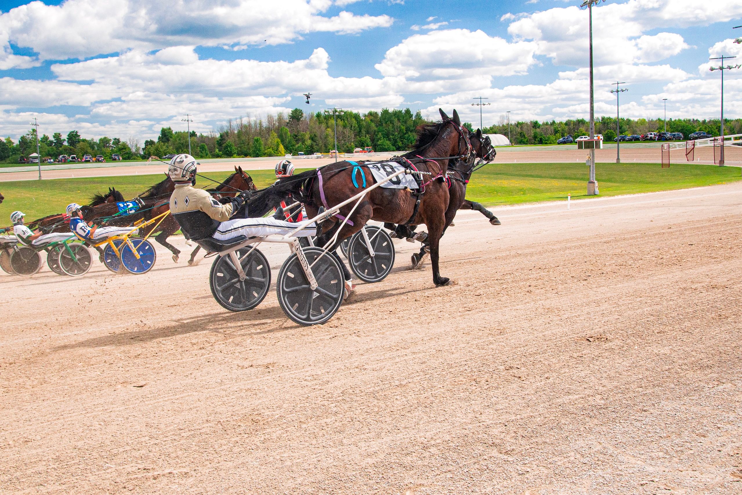 Exciting Harness Racing Event on Sunny Day · Free Stock Photo