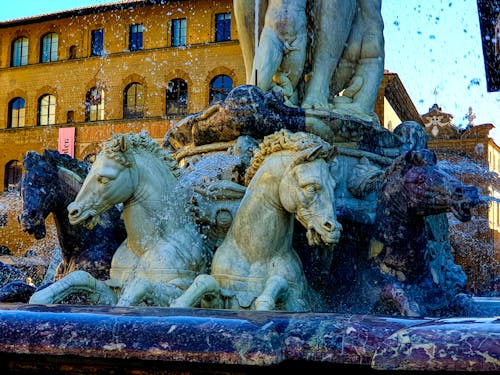 Free stock photo of lion, piazza della signoria, pigeon