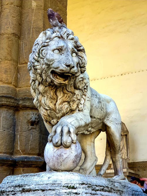 Free stock photo of lion, piazza della signoria, pigeon