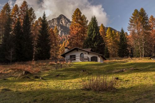 Free Charming cabin nestled in vibrant autumn forest with mountain backdrop. Stock Photo
