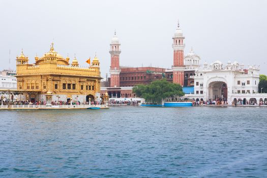A stunning view of the Golden Temple, a key spiritual site in Amritsar, India, during the day.