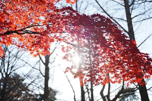 What to Know About the Fall Equinox This September